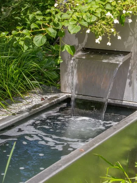 Idée de bassin dans un jardin en ville