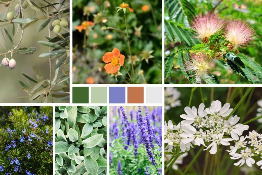 Comment structurer un jardin : notre palette végétale