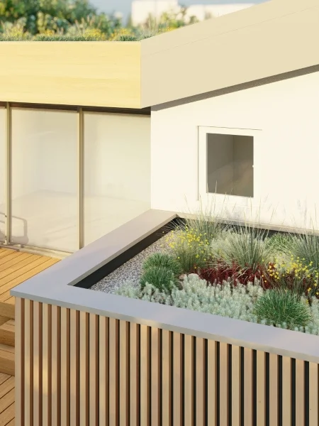 Gros plan d'un visuel en 3D pour aménager une toiture végétalisée avec du sedum et des miscanthus