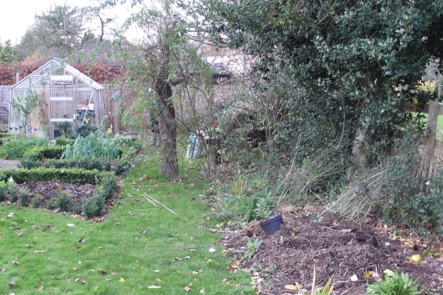 Potager en friche avant travaux d'aménagement