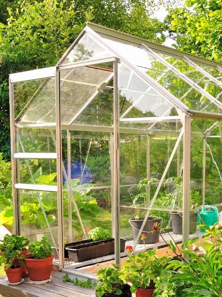 Serre de jardin vitrée installée dans un potager