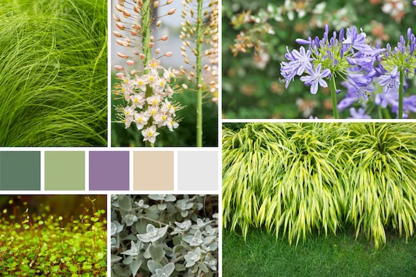 Le type de palette végétale et colorée proposée par Patrycja Frangin pour ses projets d'architecte paysager