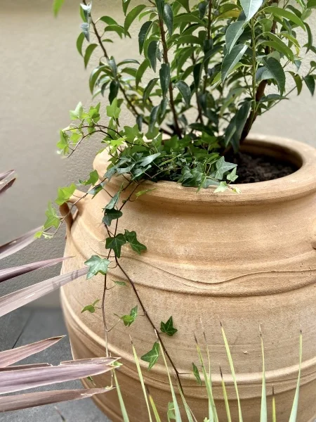 Un gros pot en terre cuite en forme d'amphore sur une terrasse