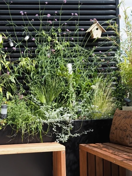 Des graminées légères et de la Verveine de Buenos Aires dans une jardinière sur une terrasse en ville