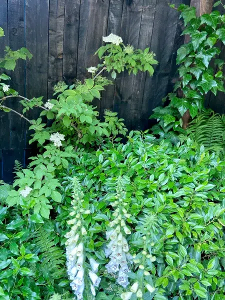 Rénovation de jardin vue 3