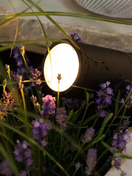 Rénovation de jardin vue 4